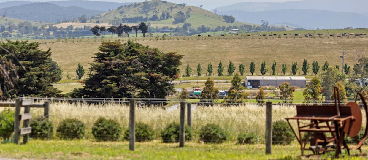 985 Healesville-Yarra Glen Road, Yarra Glen, VIC, 3775 - Image 16