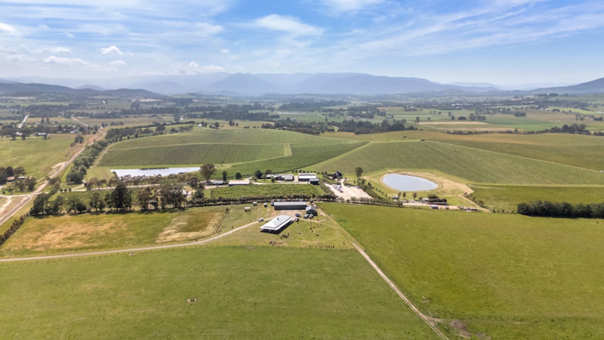 985 Healesville-Yarra Glen Road, Yarra Glen, VIC, 3775 - Image 24