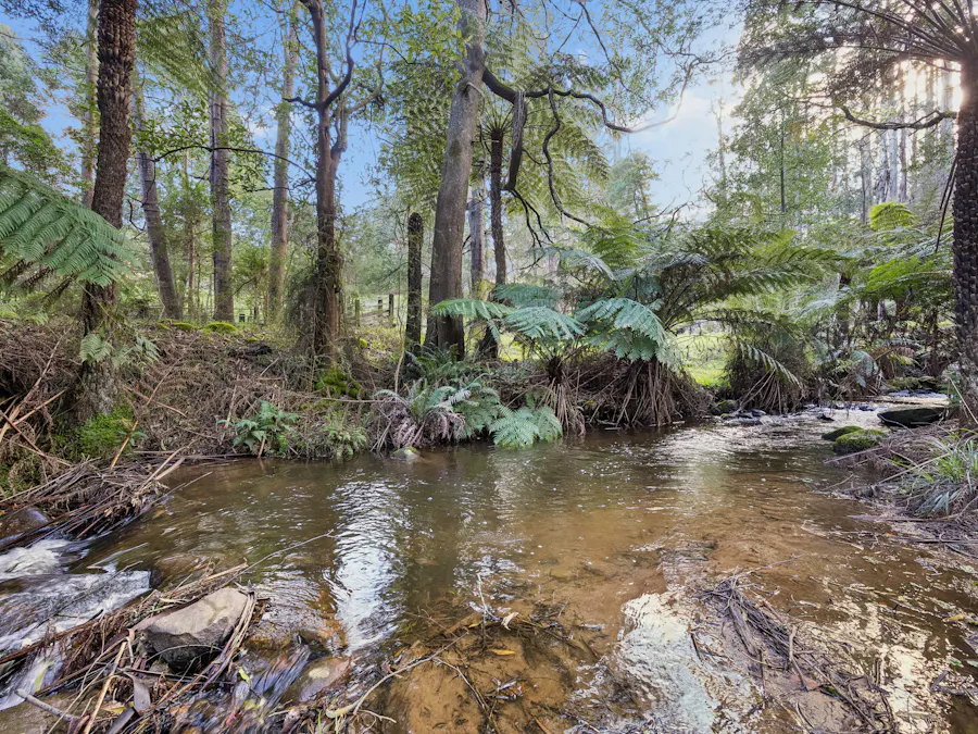 45 Reserve Road, Don Valley, VIC, 3139 - Image 14