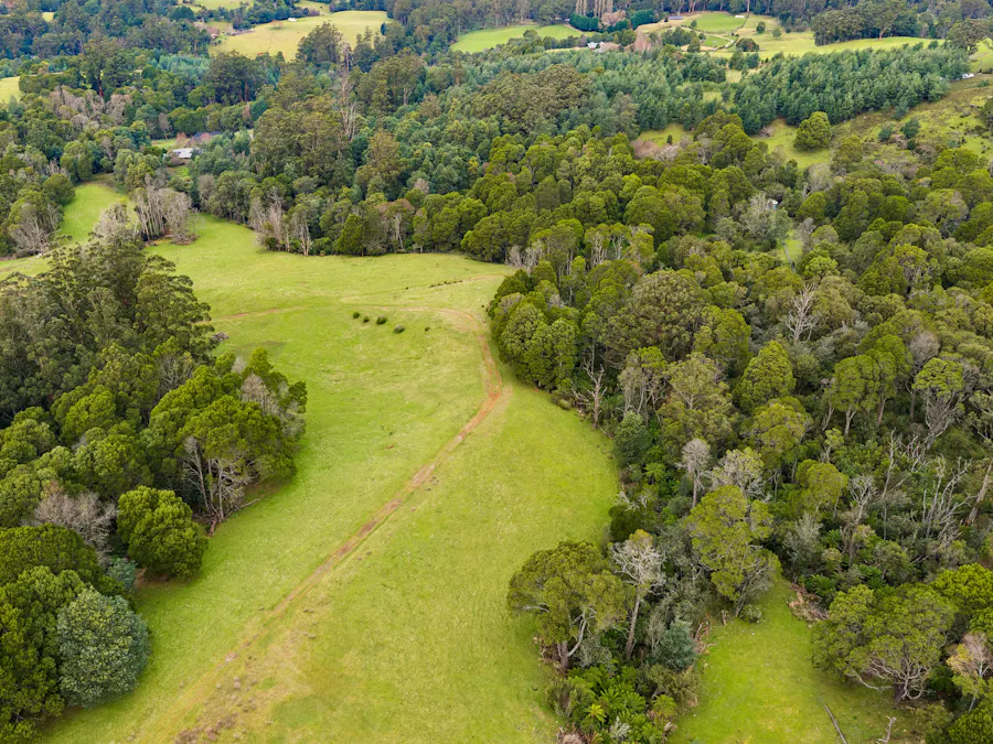 45 Reserve Road, Don Valley, VIC, 3139 - Image 22