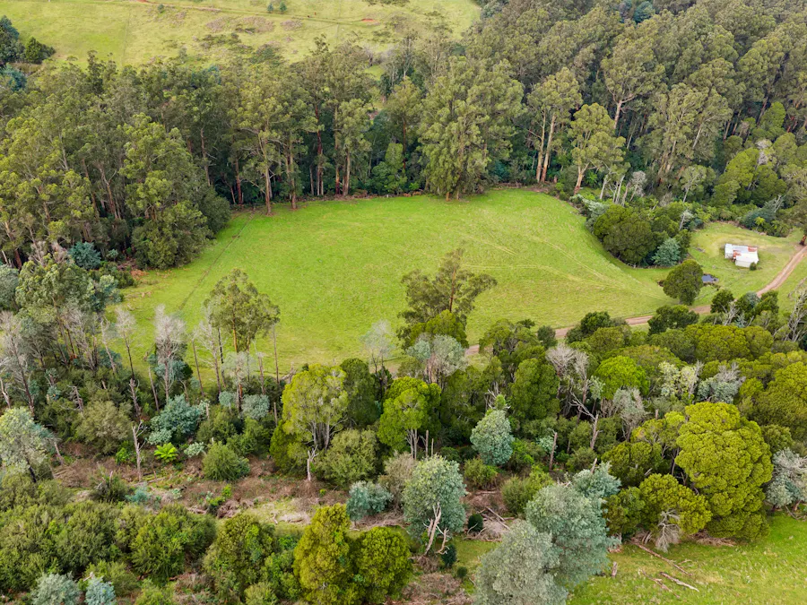 45 Reserve Road, Don Valley, VIC, 3139 - Image 25