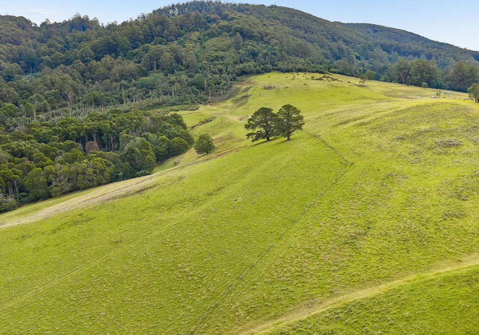 45 Reserve Road, Don Valley, VIC, 3139 - Image 26