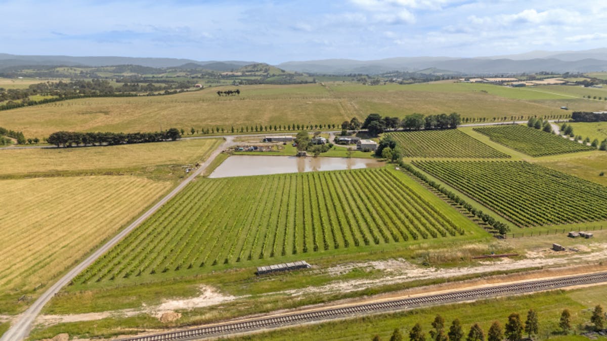 985 Healesville-Yarra Glen Road, Yarra Glen, VIC, 3775 - Image 21