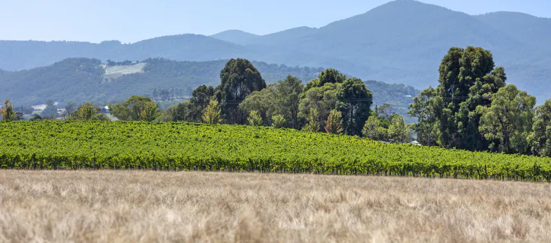 12 Maddens Lane, Coldstream, VIC, 3770 - Image 2