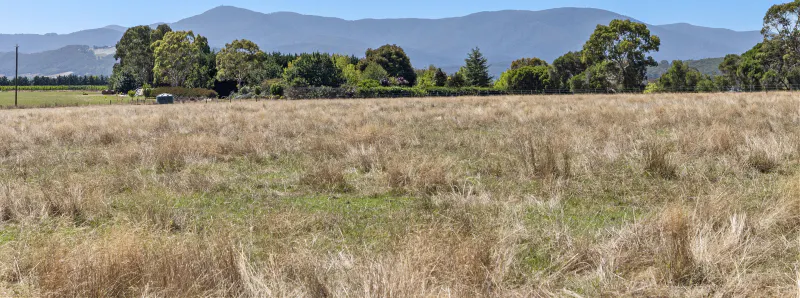 12 Maddens Lane, Coldstream, VIC, 3770 - Image 4