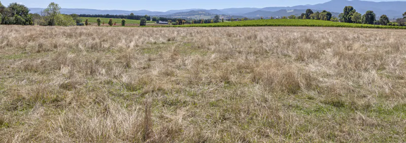 12 Maddens Lane, Coldstream, VIC, 3770 - Image 14