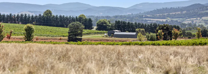 12 Maddens Lane, Coldstream, VIC, 3770 - Image 9