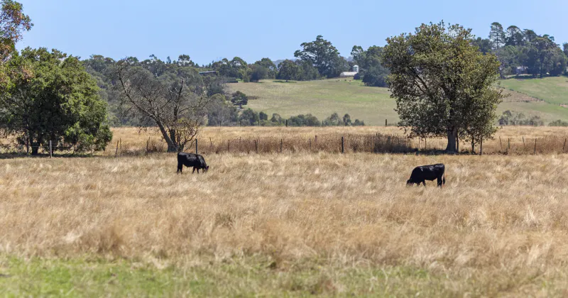 12 Maddens Lane, Coldstream, VIC, 3770 - Image 6