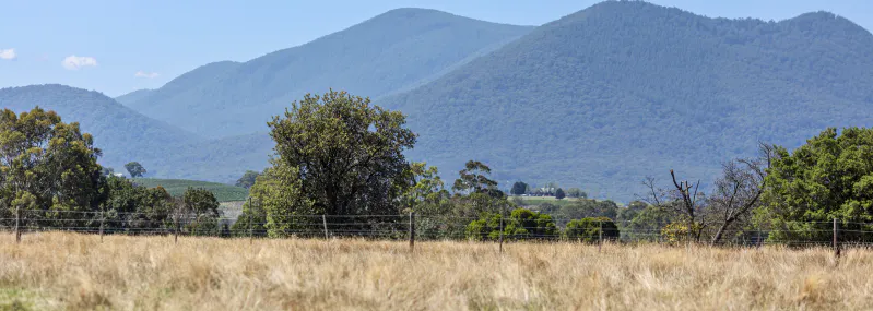 12 Maddens Lane, Coldstream, VIC, 3770 - Image 10