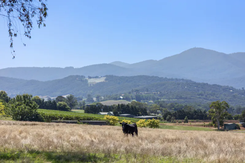 12 Maddens Lane, Coldstream, VIC, 3770 - Image 7