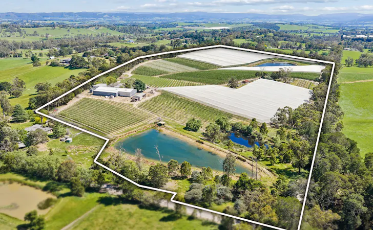 48-50 Gruyere Road, Gruyere, VIC, 3770