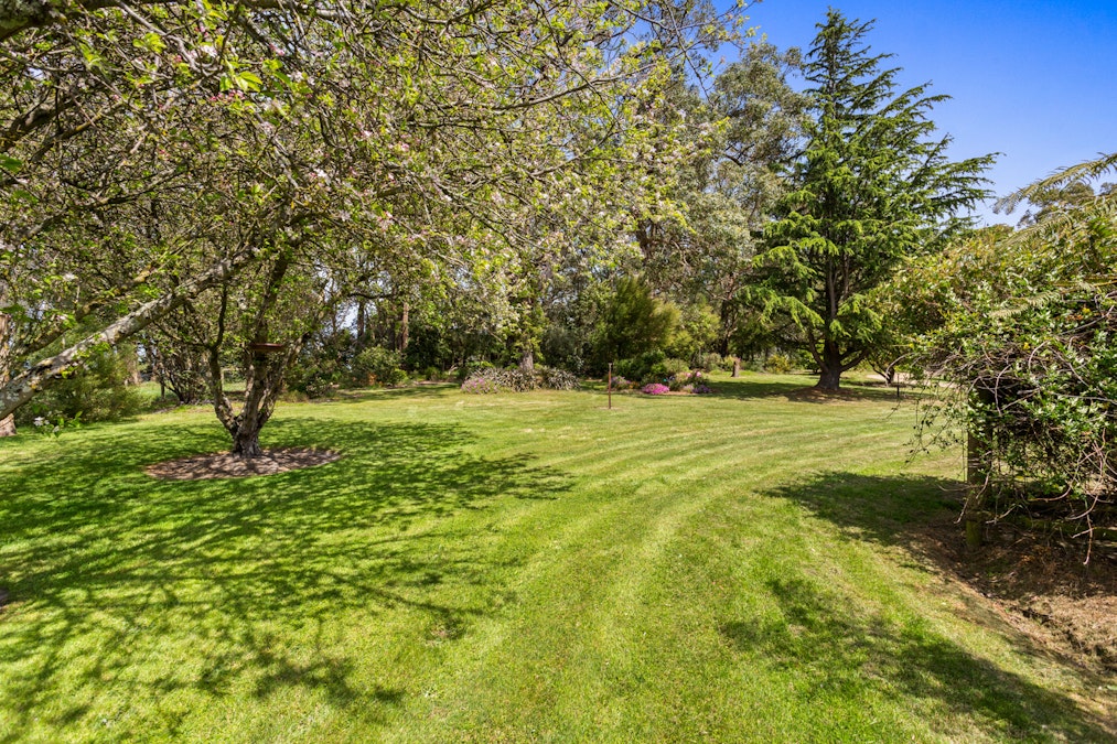 345 Mt Lyall Road, Nyora, VIC, 3987 - Image 19