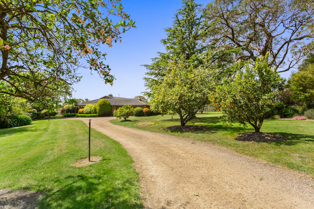 345 Mt Lyall Road, Nyora, VIC, 3987 - Image 21