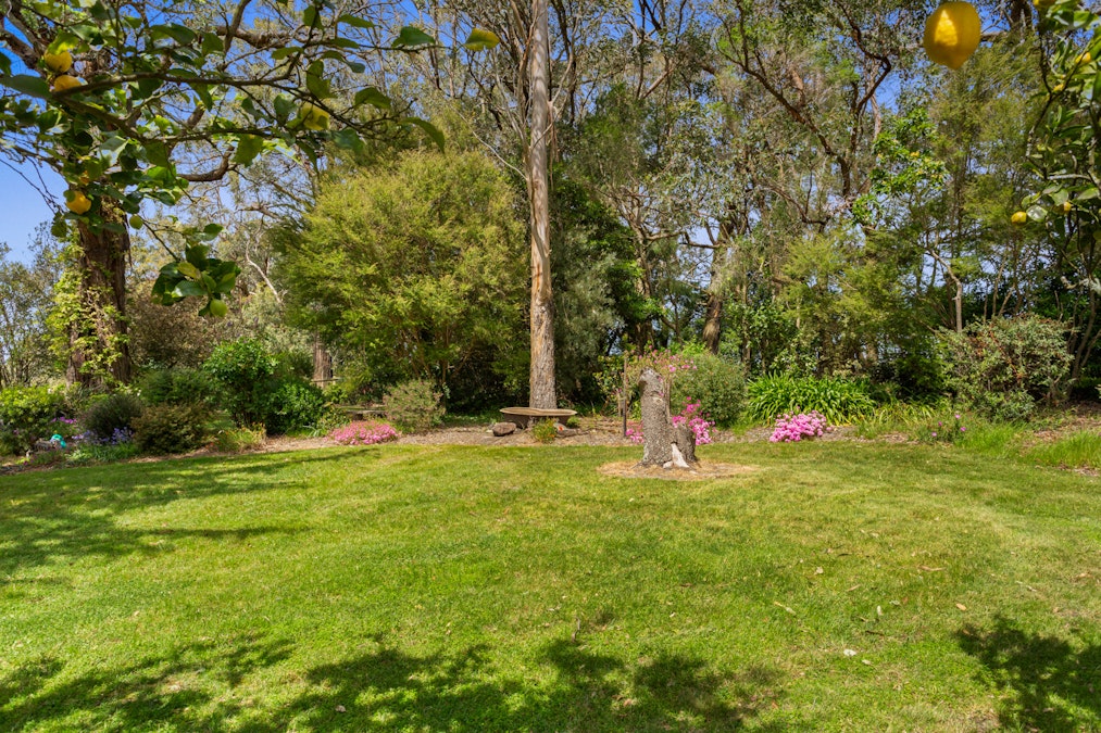 345 Mt Lyall Road, Nyora, VIC, 3987 - Image 22