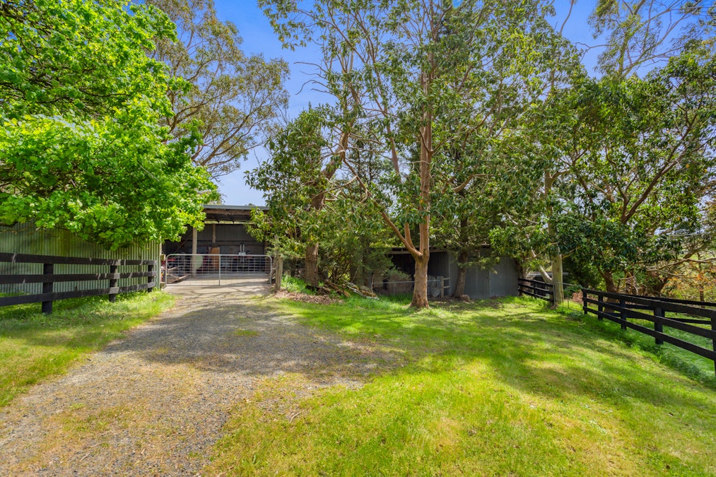 345 Mt Lyall Road, Nyora, VIC, 3987 - Image 24