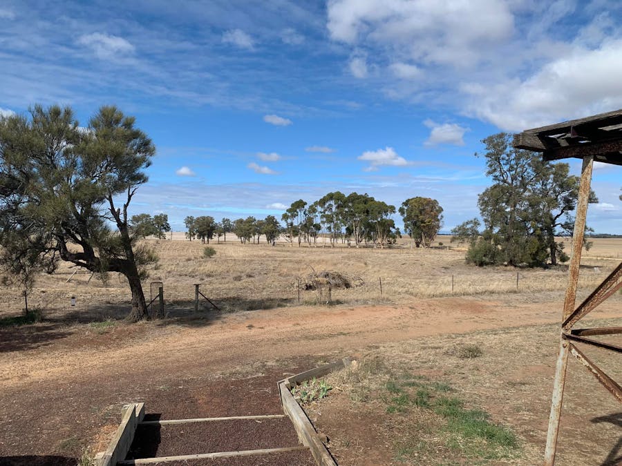 578 Lallat North Road, Rupanyup, VIC, 3388 Sold Elders Real Estate