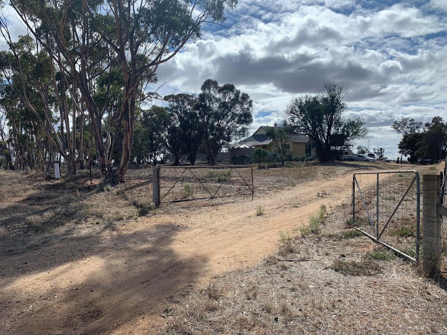 578 Lallat North Road, Rupanyup, VIC, 3388 Sold Elders Real Estate