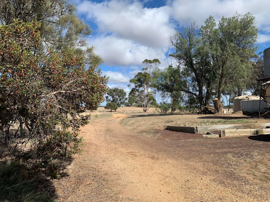 578 Lallat North Road, Rupanyup, VIC, 3388 Sold Elders Real Estate