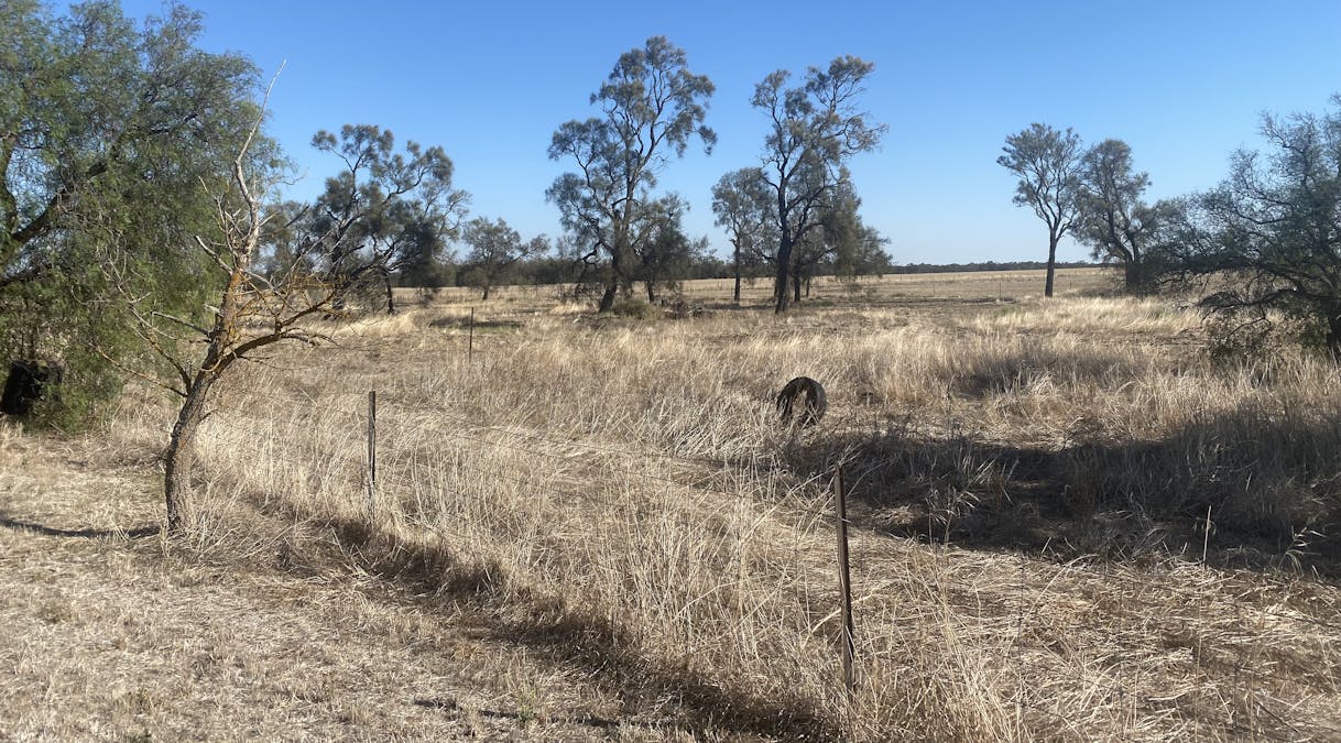 578 Lallat North Road, Rupanyup, VIC, 3388 Sold Elders Real Estate