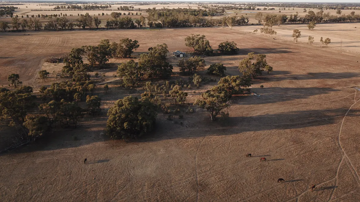 Lot 207 & Lot 209 Old Deniliquin Road, Moama, NSW, 2731 - Image 10