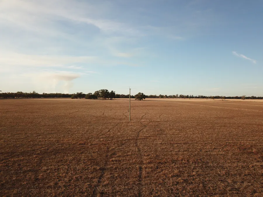 Lot 207 & Lot 209 Old Deniliquin Road, Moama, NSW, 2731 - Image 11