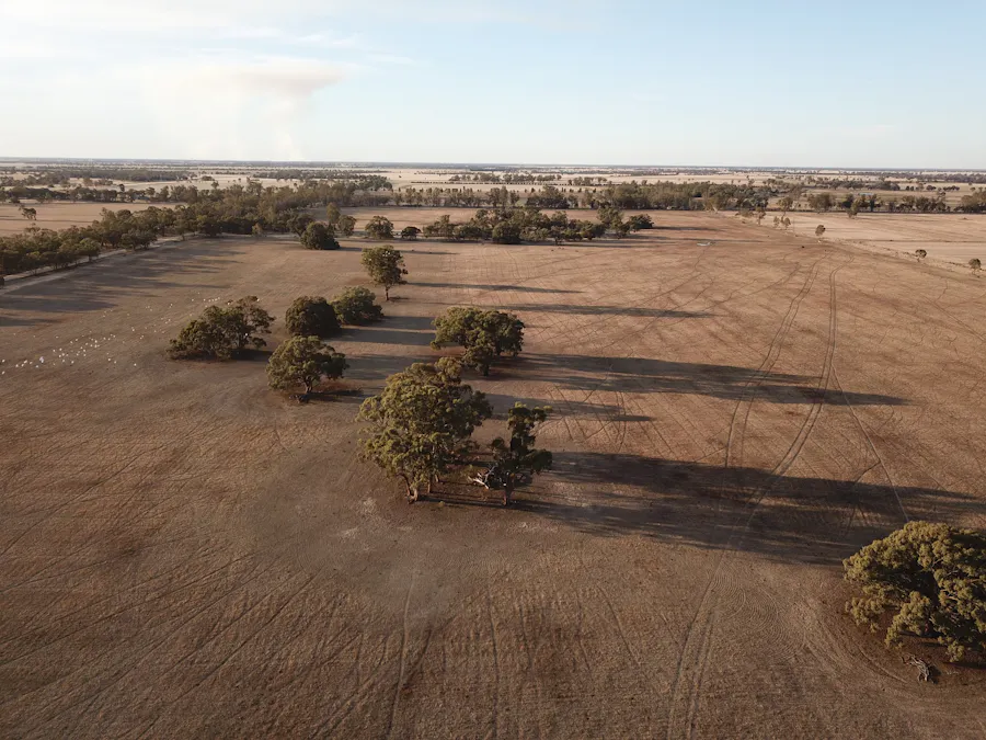 Lot 207 & Lot 209 Old Deniliquin Road, Moama, NSW, 2731 - Image 12