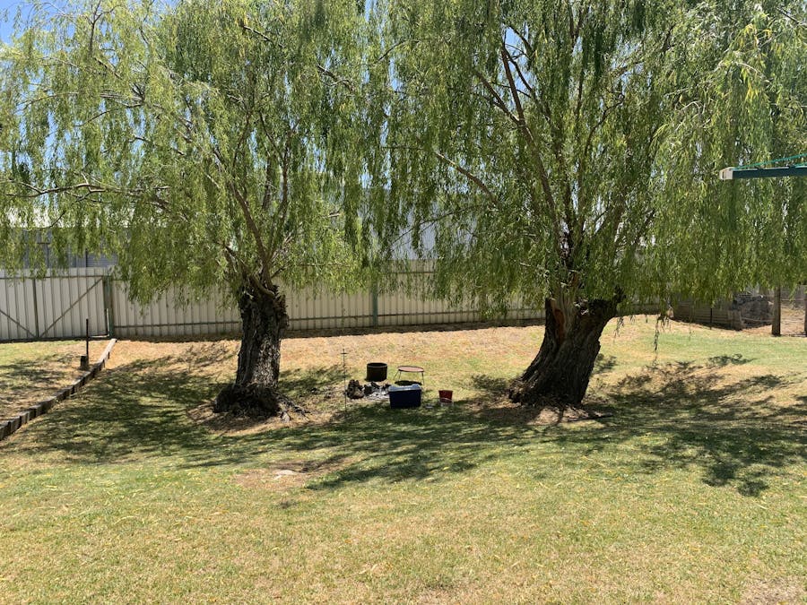 73 NOWRANIE STREET, Jerilderie, NSW, 2716 - Image 13