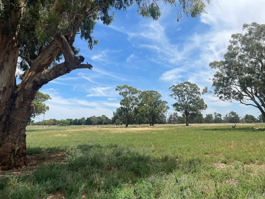82 (RMB 2070) Pine lodge Rd, Tocumwal, NSW, 2714 - Image 17