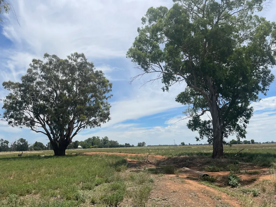 82 (RMB 2070) Pine lodge Rd, Tocumwal, NSW, 2714 - Image 16
