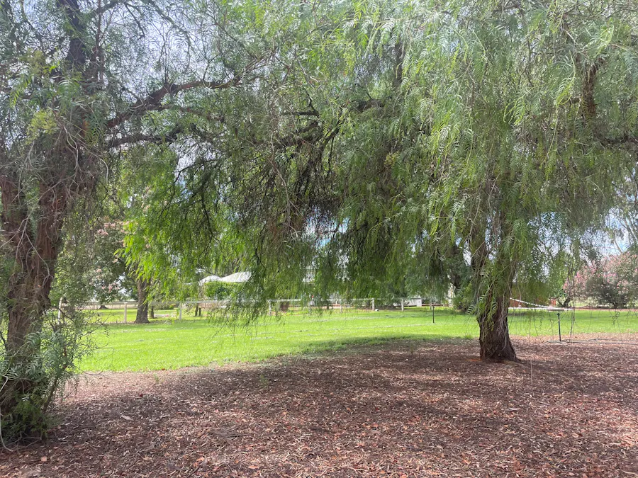 82 (RMB 2070) Pine lodge Rd, Tocumwal, NSW, 2714 - Image 13