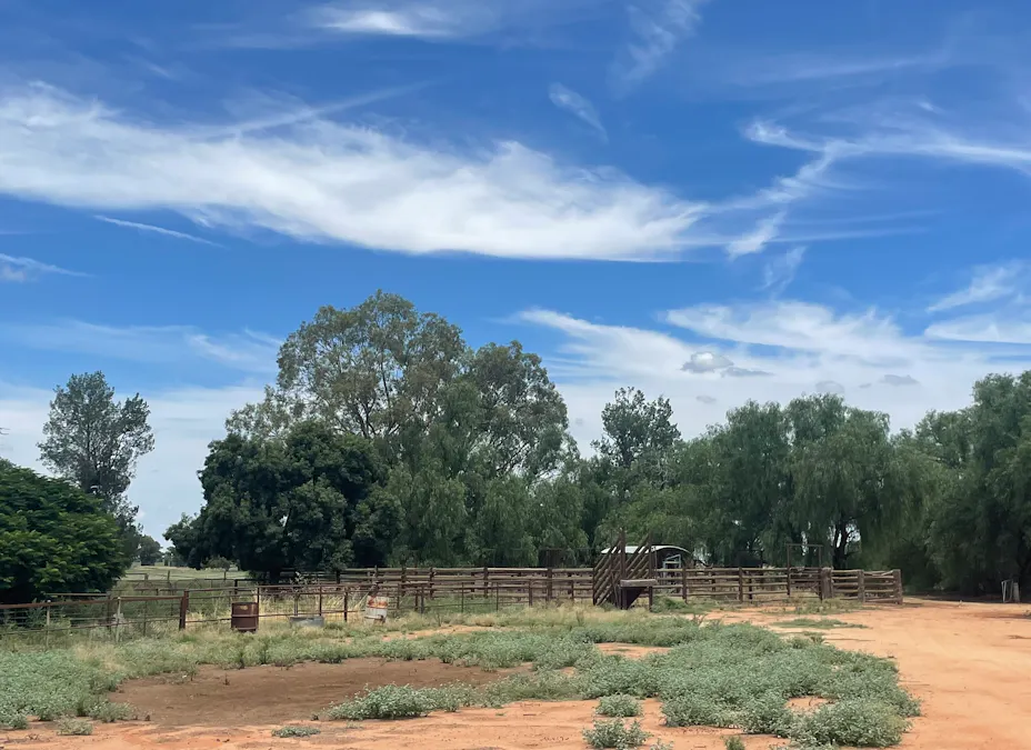 82 (RMB 2070) Pine lodge Rd, Tocumwal, NSW, 2714 - Image 21