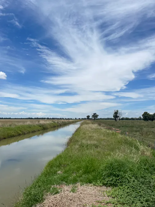 82 (RMB 2070) Pine lodge Rd, Tocumwal, NSW, 2714 - Image 4