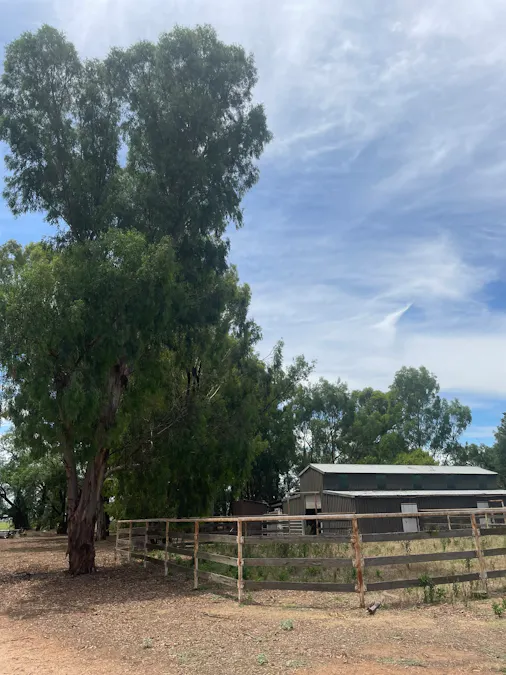 82 (RMB 2070) Pine lodge Rd, Tocumwal, NSW, 2714 - Image 12
