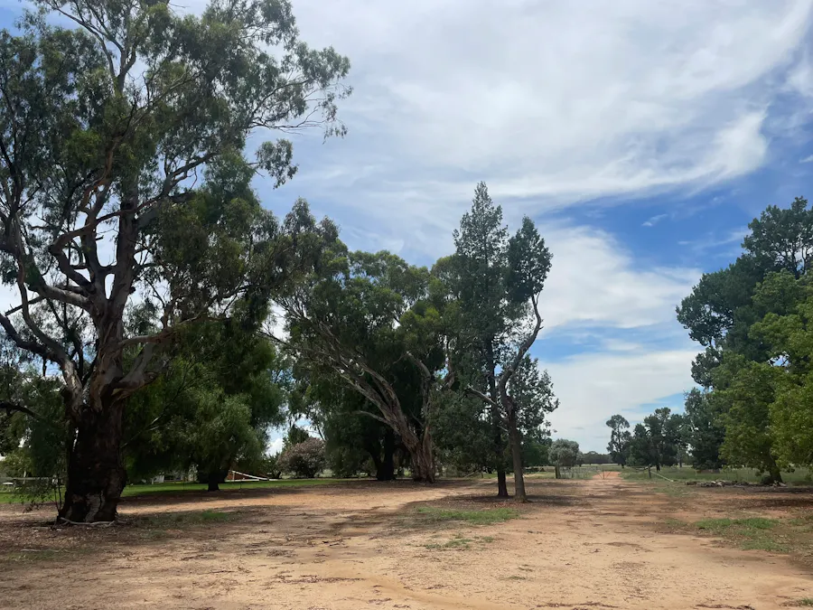 82 (RMB 2070) Pine lodge Rd, Tocumwal, NSW, 2714 - Image 20