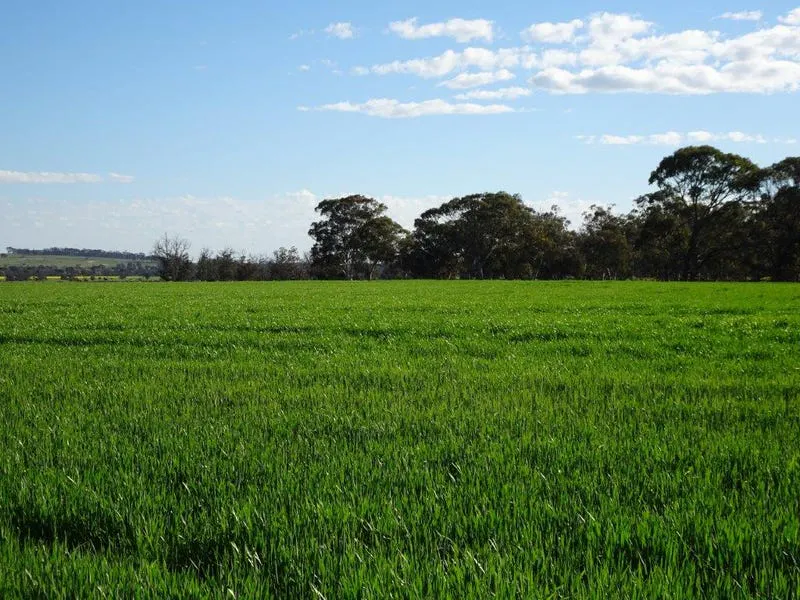 24987 Great Southern Highway, Boyerine, WA, 6316 - Image 9