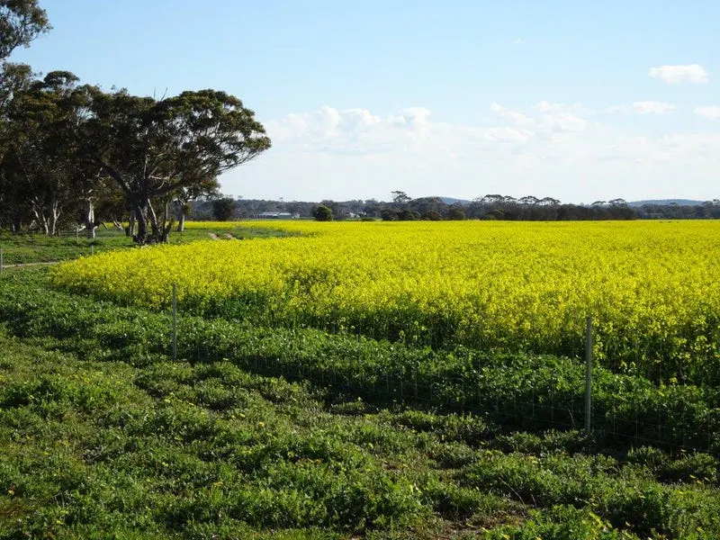 24987 Great Southern Highway, Boyerine, WA, 6316 - Image 12
