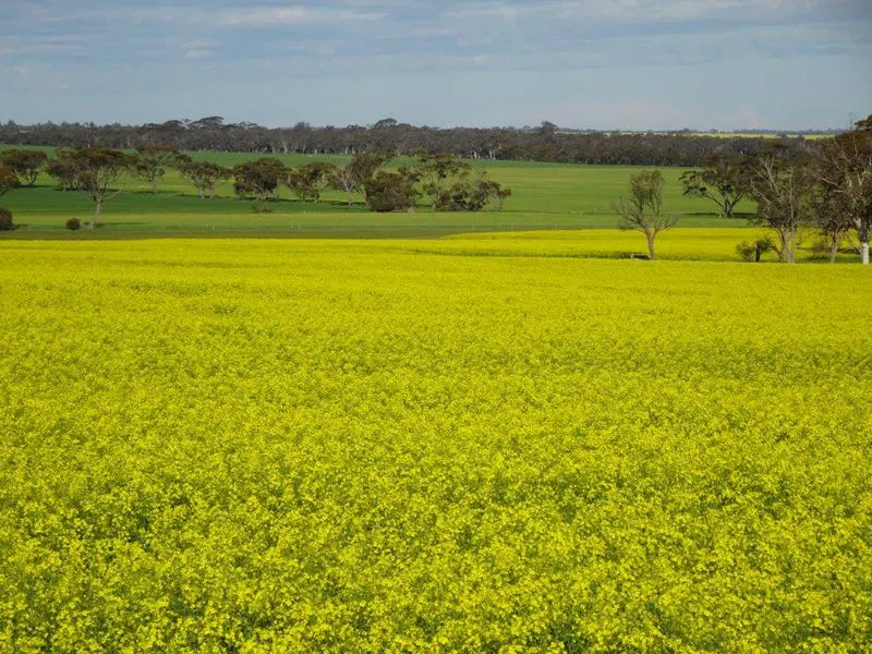 24987 Great Southern Highway, Boyerine, WA, 6316 - Image 15