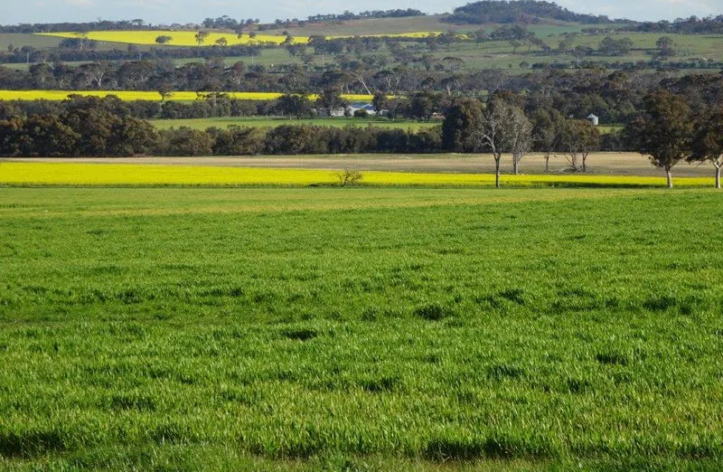 24987 Great Southern Highway, Boyerine, WA, 6316 - Image 16