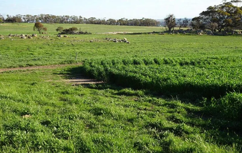 24987 Great Southern Highway, Boyerine, WA, 6316 - Image 20
