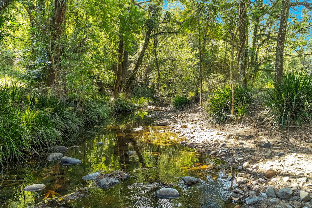 1312 Chichester Road, Chichester via, Dungog, NSW, 2420 - Image 33