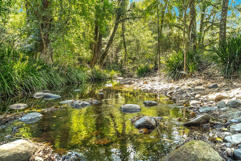 1312 Chichester Road, Chichester via, Dungog, NSW, 2420 - Image 34