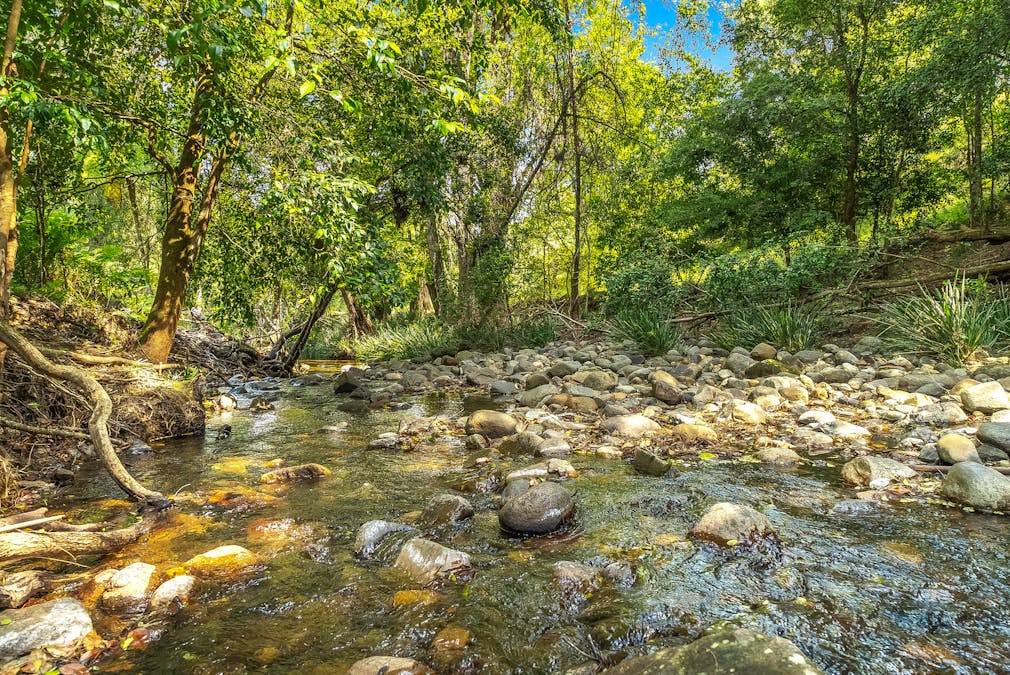 1312 Chichester Road, Chichester via, Dungog, NSW, 2420 - Image 35