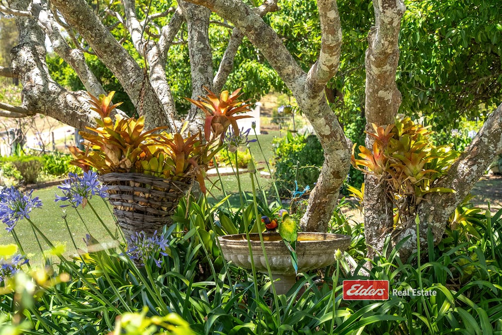 3783 Clarence Town Road, Brookfield, NSW, 2420 - Image 8