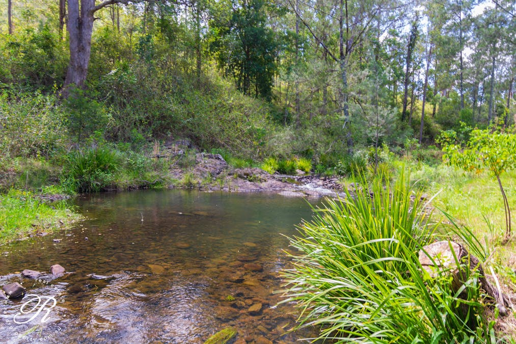 1450 Bowman River Road, Bowman, NSW, 2422 - Image 18