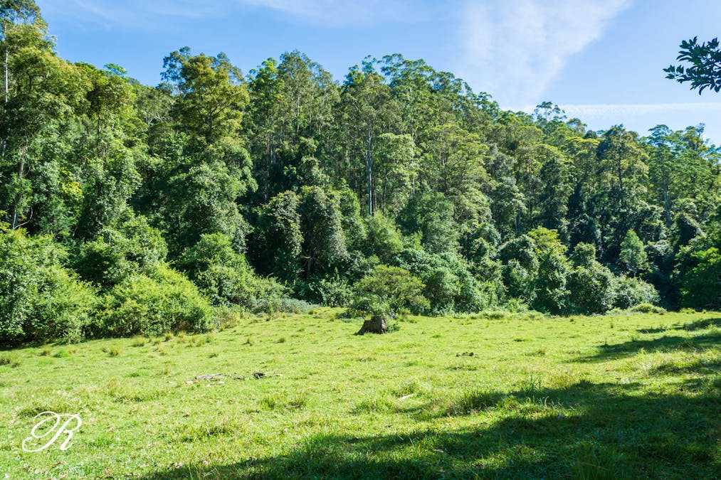 2263 Monkerai Road, Monkerai, NSW, 2415 - Image 5