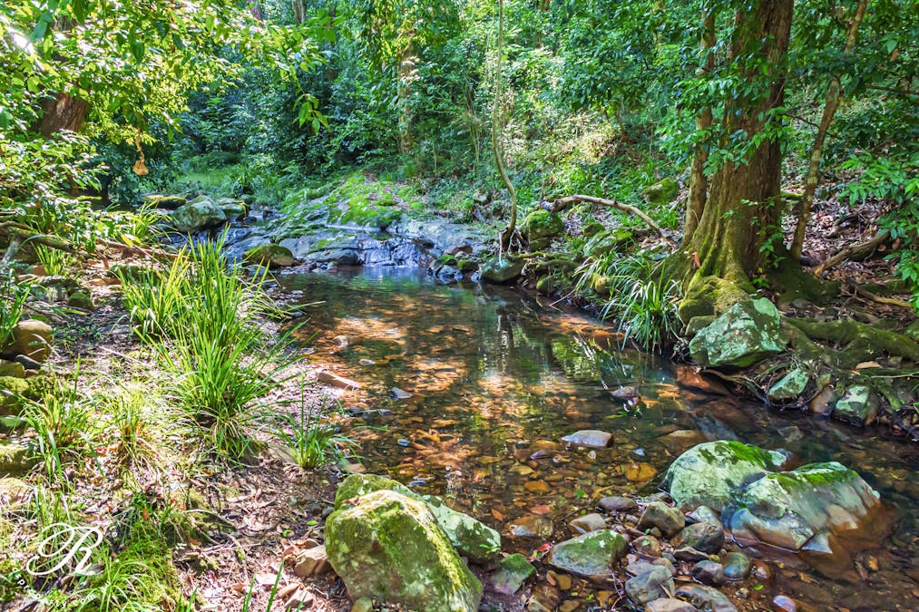 2263 Monkerai Road, Monkerai, NSW, 2415 - Image 7