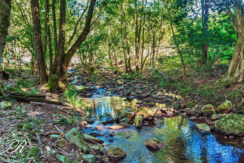 2263 Monkerai Road, Monkerai, NSW, 2415 - Image 13