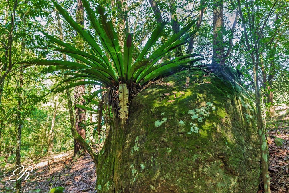 2263 Monkerai Road, Monkerai, NSW, 2415 - Image 14