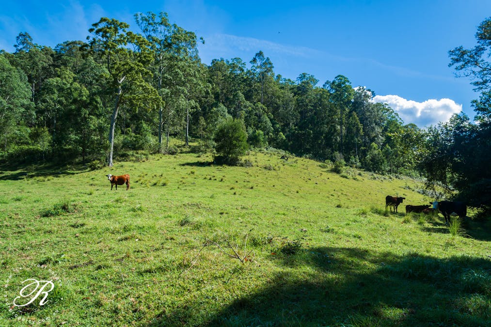 2263 Monkerai Road, Monkerai, NSW, 2415 - Image 26