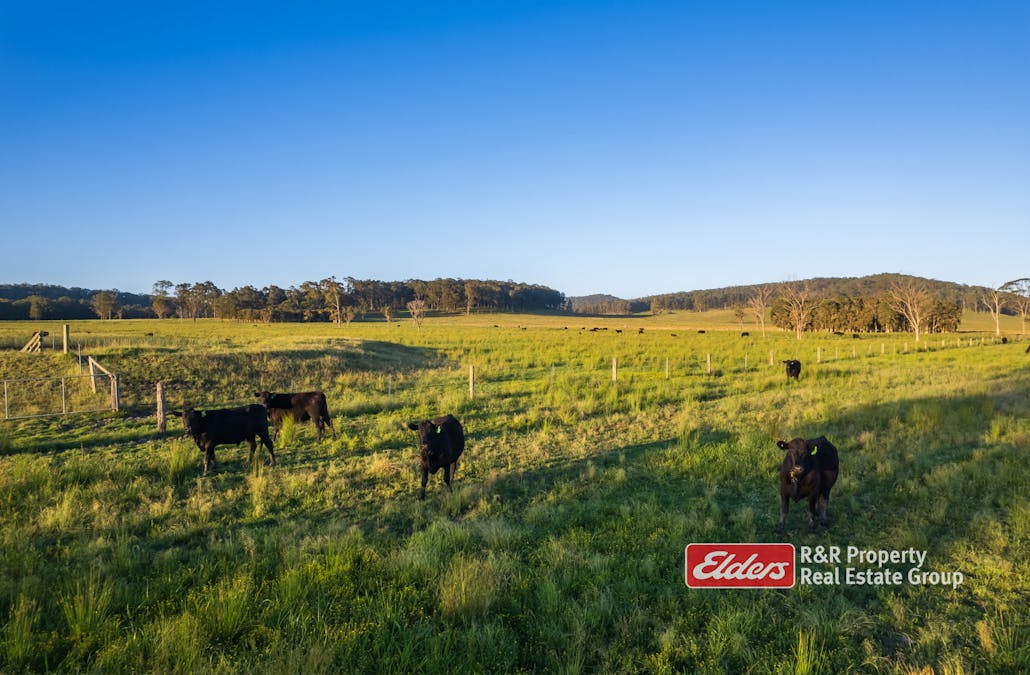 416 Gunjula Drive, The Branch, NSW, 2425 - Image 34